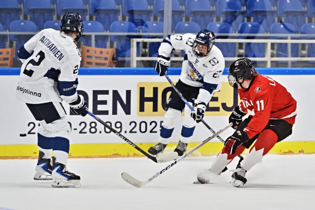 Max Laatikainen, Oscar Hemming, Tynan Lawrence, Pikkuleijonat