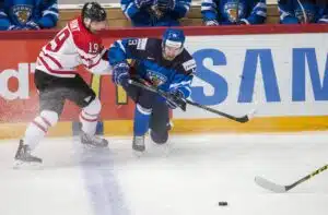 Kultaleijona törmäsi seinään ja nousi jaloilleen – ”Ei tiennyt, mitä tulevaisuus tuo”